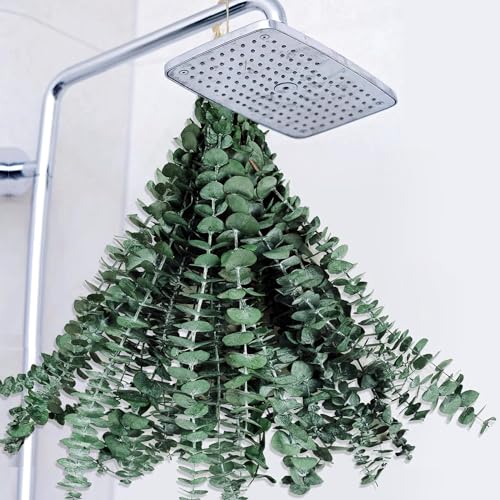 Eucalyptus hanging in shower