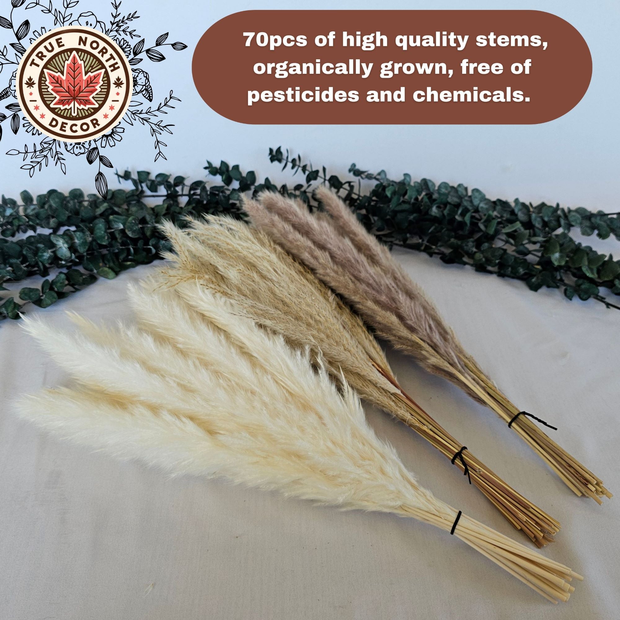 Dried Pampas Grass Bouquet - White/Brown Pampas, Grass Reeds