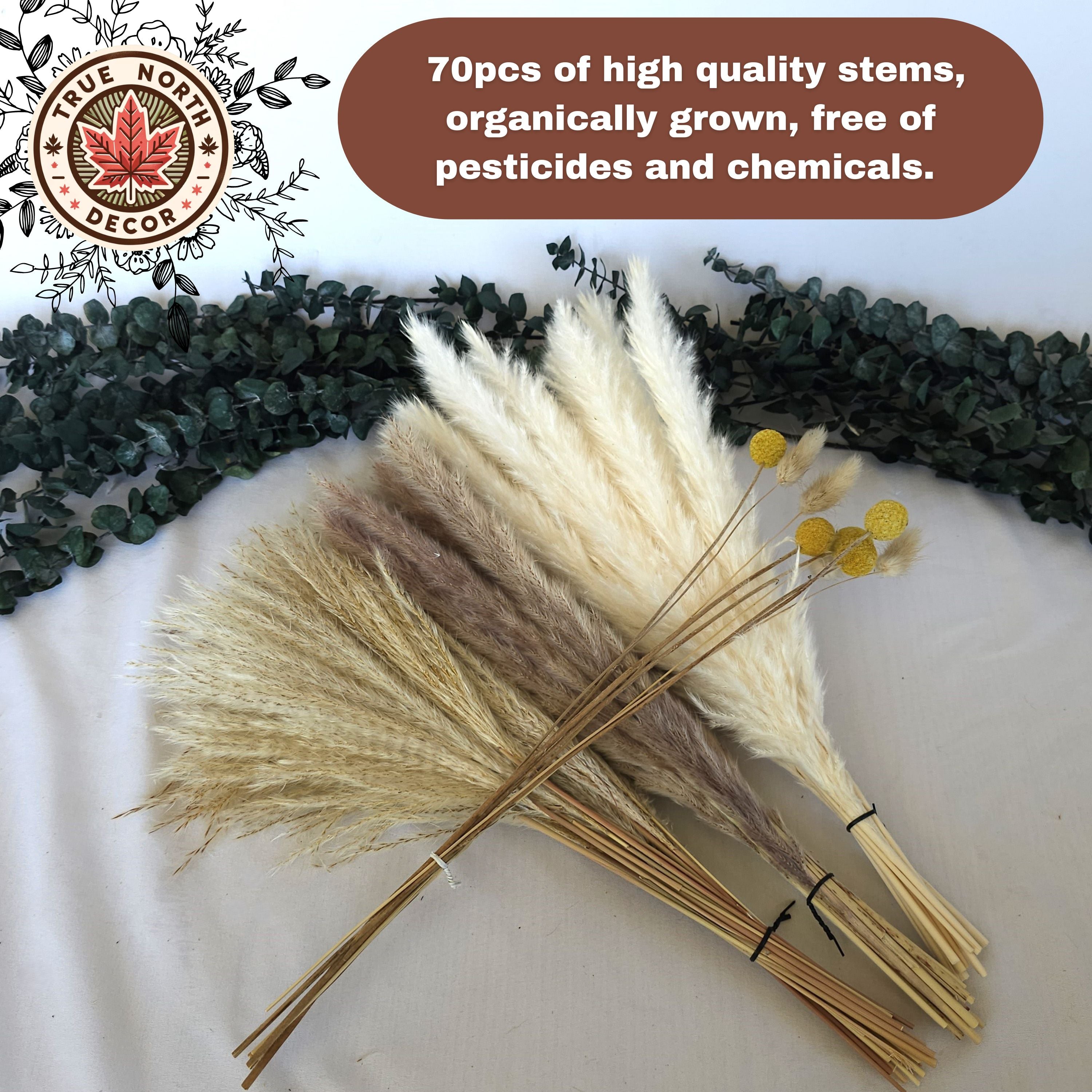 Dried Pampas Grass Bouquet - Bunny Tails, Yellow Bulbs,  White/Brown Pampas, Grass Reeds