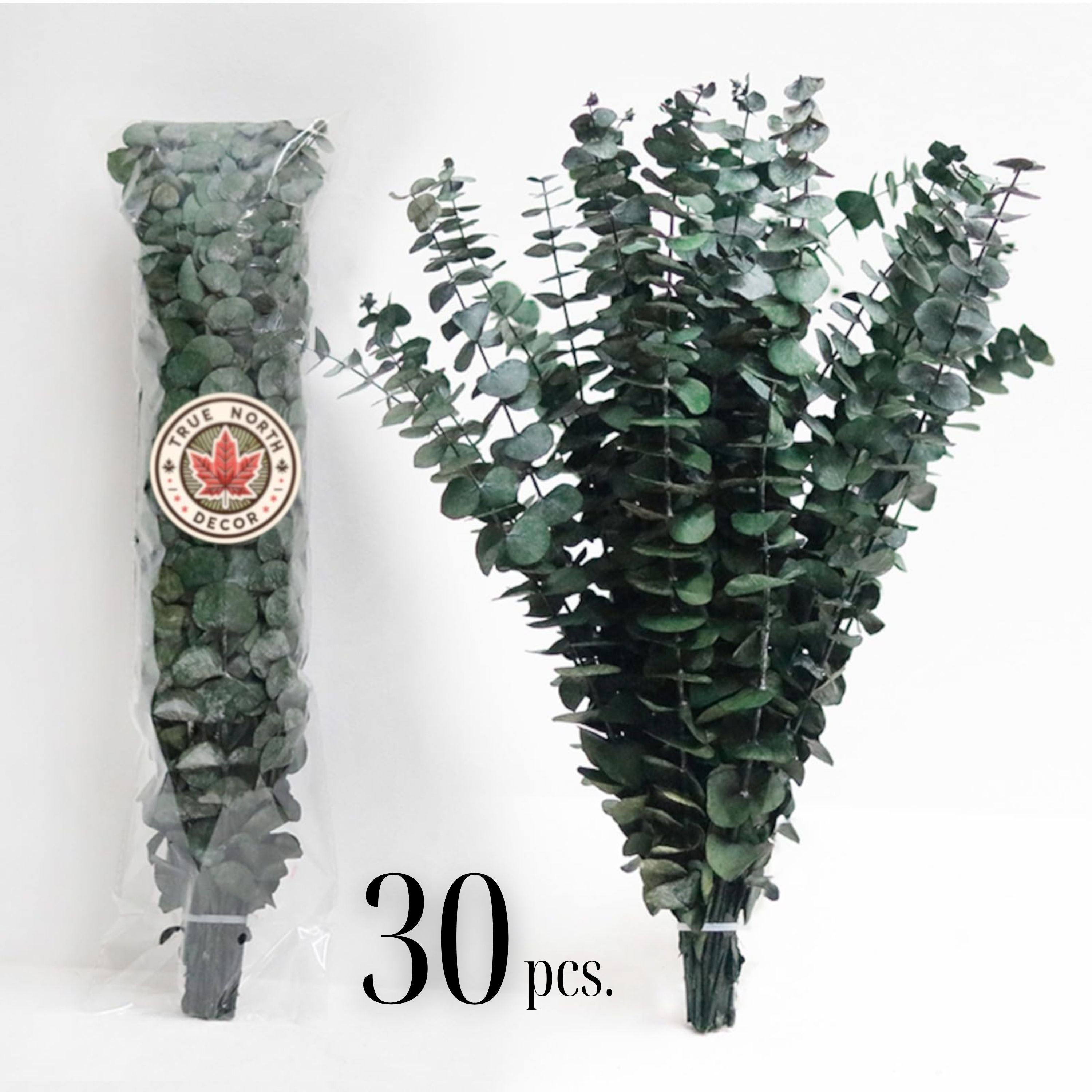 Fresh Preserved Eucalyptus Stems - Perfect for Showers, Bathrooms, Floral Arrangements, Home Décor, Christmas Decoration