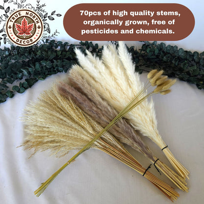 Dried Pampas Grass Bouquet - Bunny Tails, White/Brown Pampas, Grass Reeds