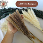 Dried Pampas Grass Bouquet - White/Brown Pampas, Grass Reeds