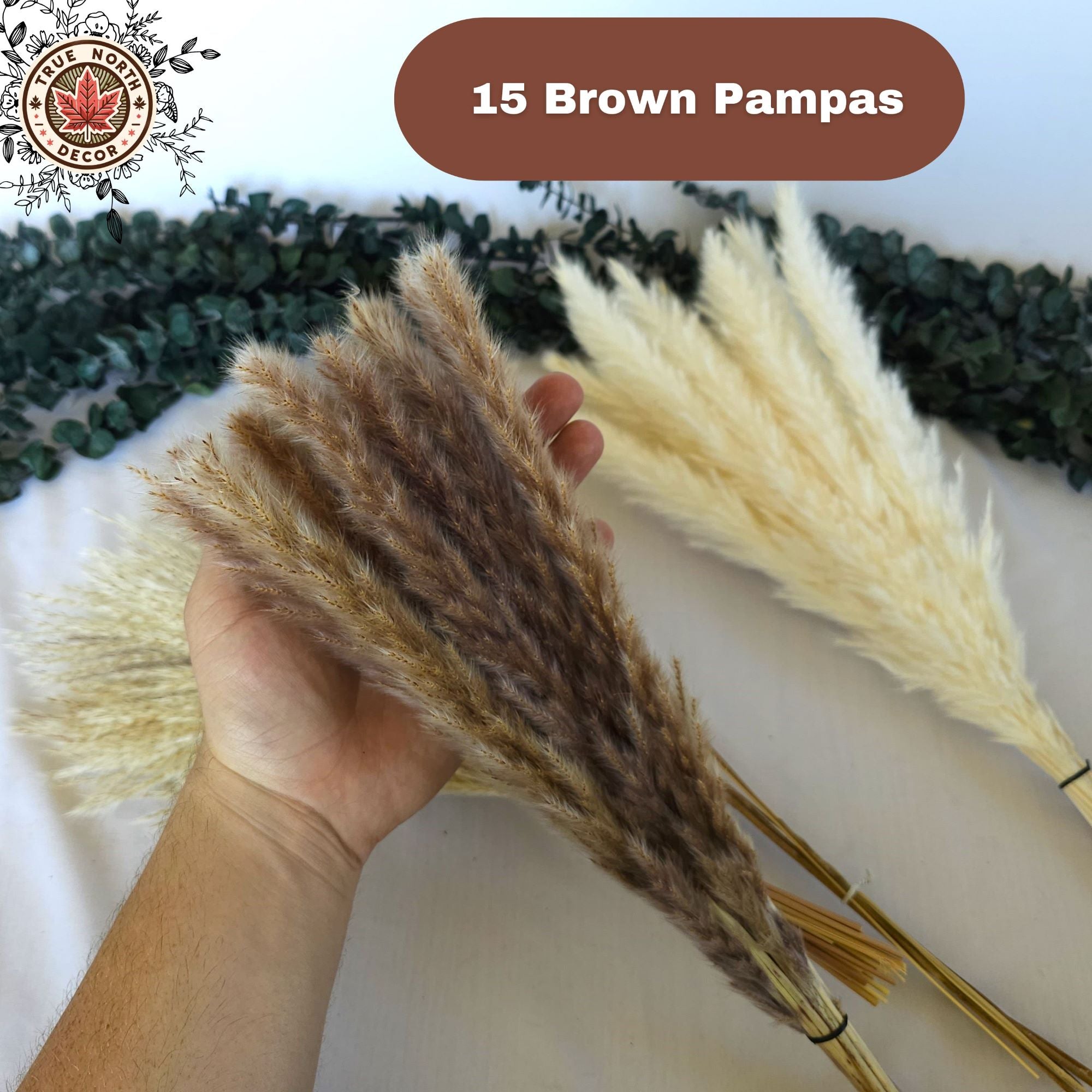 Dried Pampas Grass Bouquet - White/Brown Pampas, Grass Reeds