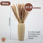 Dried Pampas Grass Bouquet - White/Brown Pampas, Grass Reeds