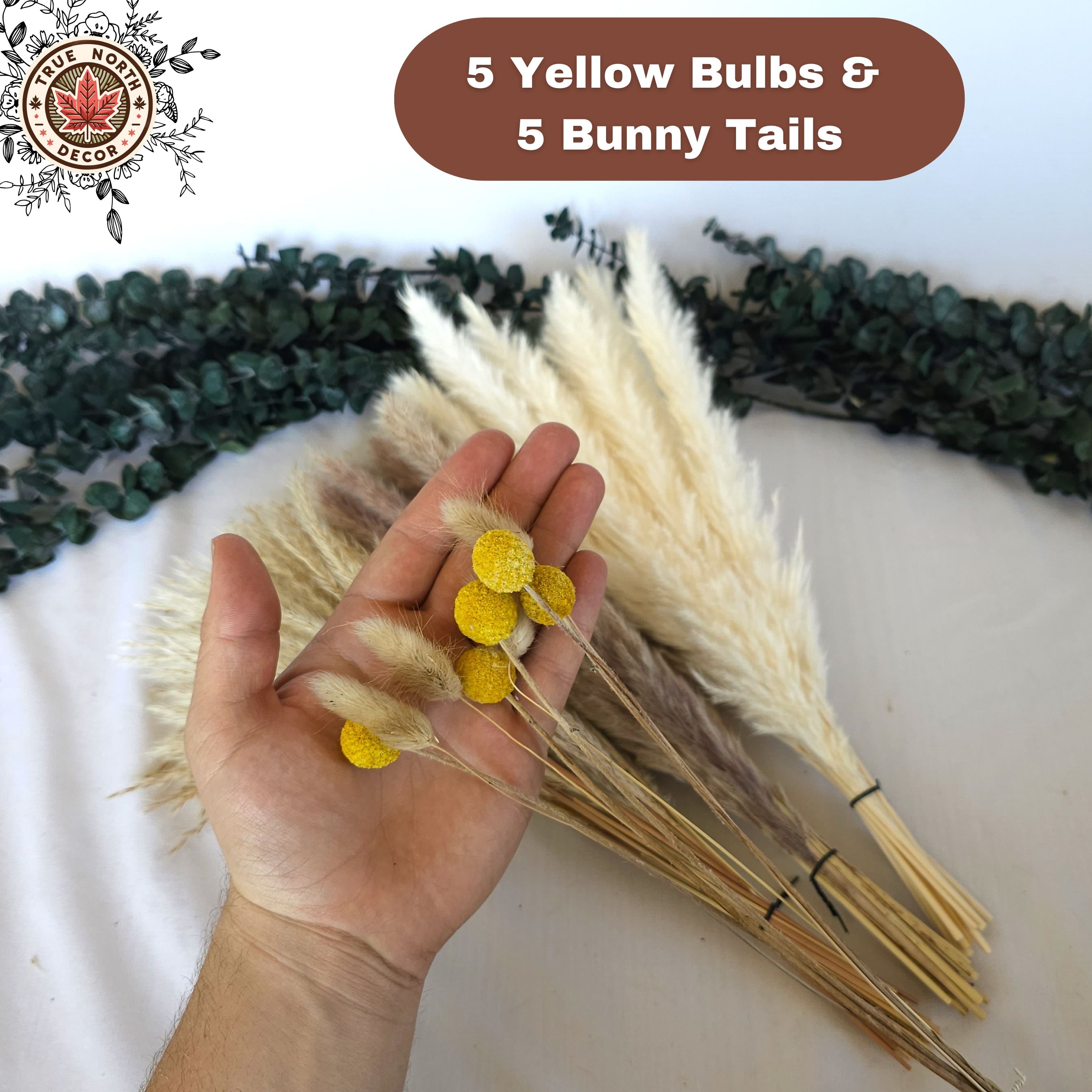 Dried Pampas Grass Bouquet - Bunny Tails, Yellow Bulbs,  White/Brown Pampas, Grass Reeds