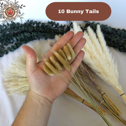 Dried Pampas Grass Bouquet - Bunny Tails, White/Brown Pampas, Grass Reeds