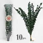 Packaged eucalyptus branches with a visible brand logo on a white background