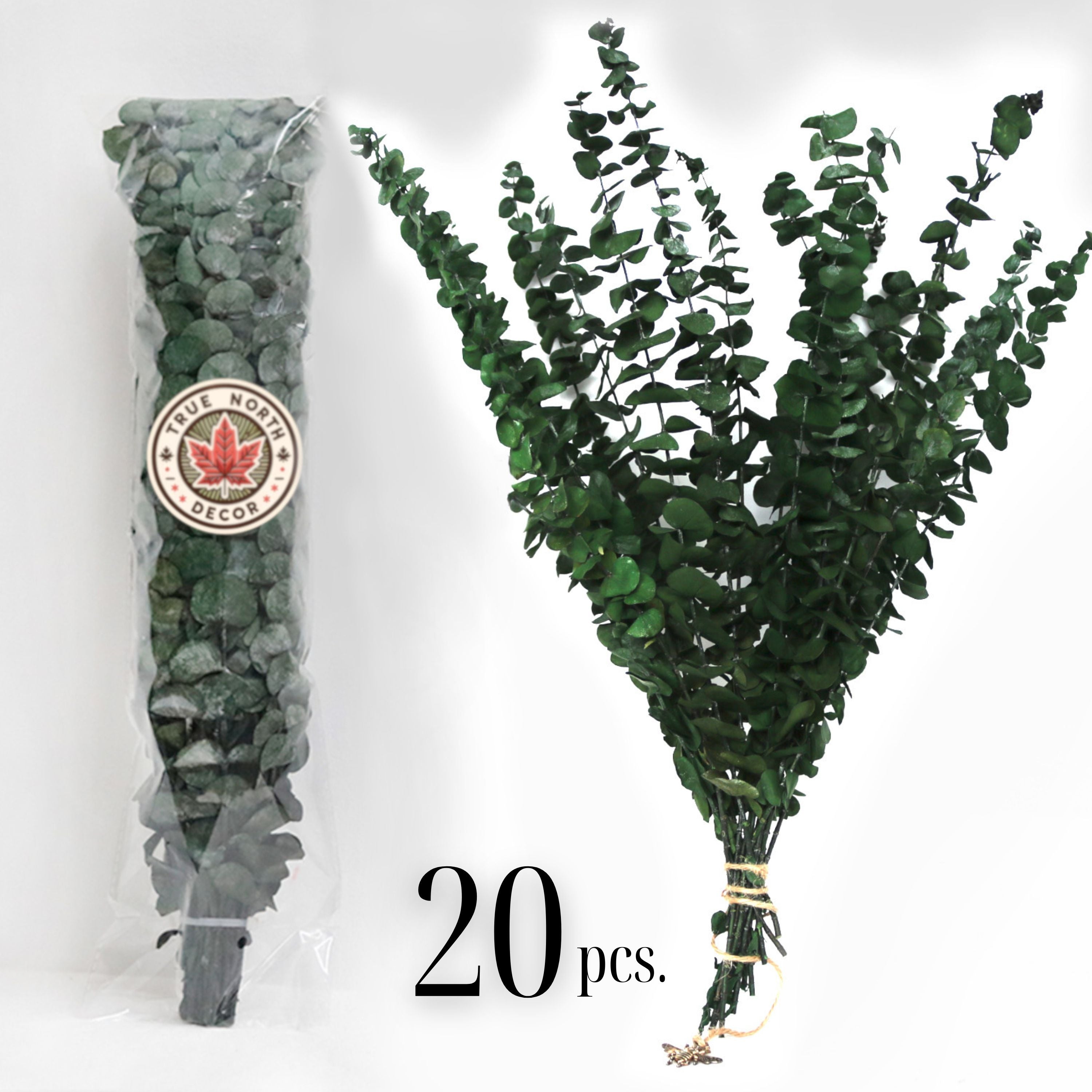 Bouquet of green eucalyptus plants with a packaging label on a white background