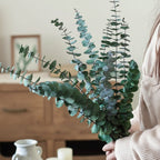 A bundle of dark green preserved eucalyptus stems, held by a person, with a blurred background featuring a white vase and candles on a wooden surface.