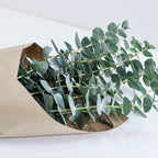 Bouquet of eucalyptus leaves in a brown paper bag on a light background
