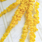Natural Dried Eucalyptus Leaf Large Branch Rich Diy Flower Arrangement Boho Hoom Decoration 10pcs Preserved Eucalyptus Leaves