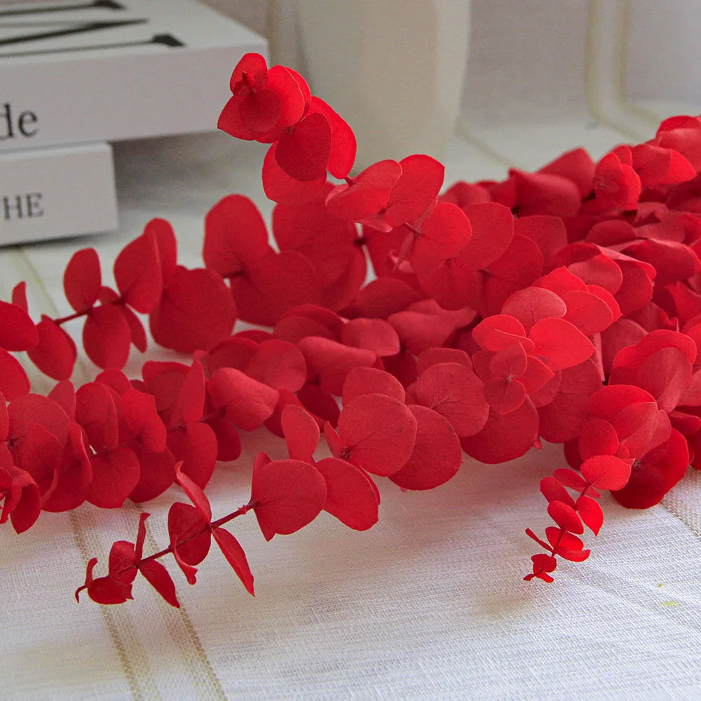 Natural Dried Eucalyptus Leaf Large Branch Rich Diy Flower Arrangement Boho Hoom Decoration 10pcs Preserved Eucalyptus Leaves