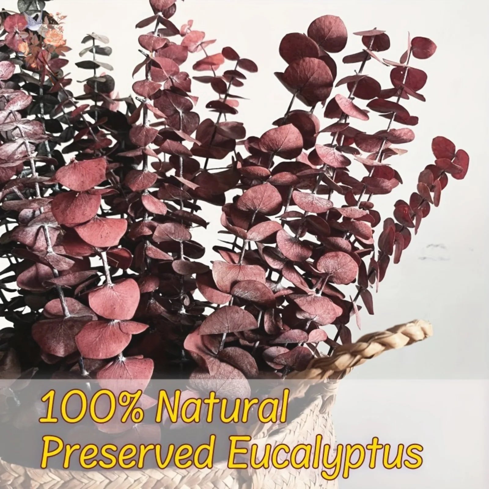Preserved eucalyptus branches with a white background and text indicating '100% Natural Preserved Eucalyptus'.