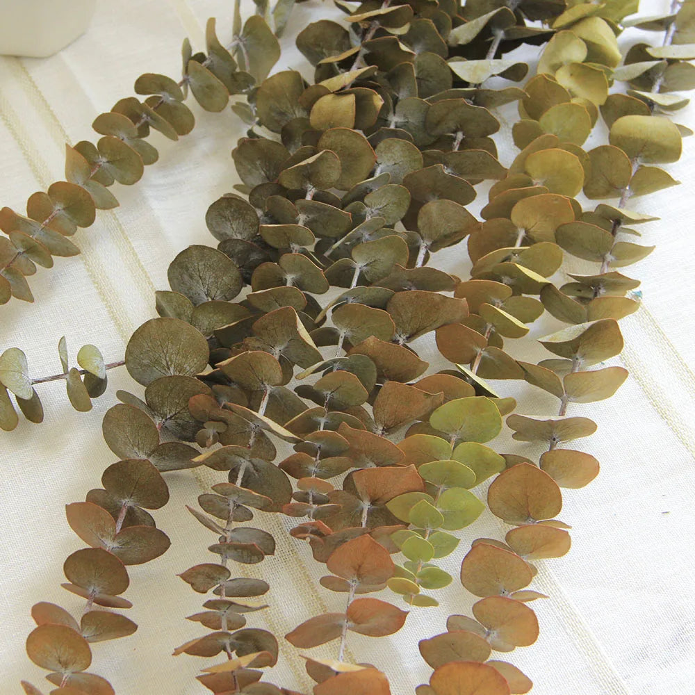 Artificial eucalyptus garland with green and brown leaves on a white background