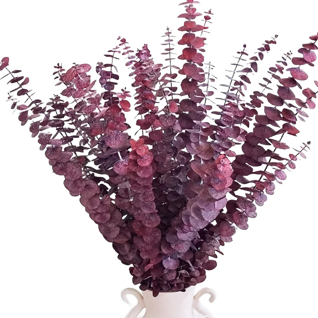 Bouquet of red eucalyptus leaves in a white vase on a white background