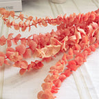 Natural Dried Eucalyptus Leaf Large Branch Rich Diy Flower Arrangement Boho Hoom Decoration 10pcs Preserved Eucalyptus Leaves