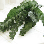 Natural Dried Eucalyptus Leaf Large Branch Rich Diy Flower Arrangement Boho Hoom Decoration 10pcs Preserved Eucalyptus Leaves