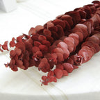 Natural Dried Eucalyptus Leaf Large Branch Rich Diy Flower Arrangement Boho Hoom Decoration 10pcs Preserved Eucalyptus Leaves