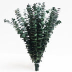 Photo of our 30 package of eucalyptusdried eucalyptus eucalyptus eucalyptus branches Christmas christmas decor Decor shower steamers centerpiece shower bundle bombe de douche home decor table decor garlands