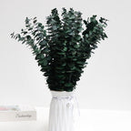 Eucalyptus in a Vase, Home Decordried eucalyptus eucalyptus eucalyptus branches Christmas christmas decor Decor shower steamers centerpiece shower bundle bombe de douche home decor table decor garlands