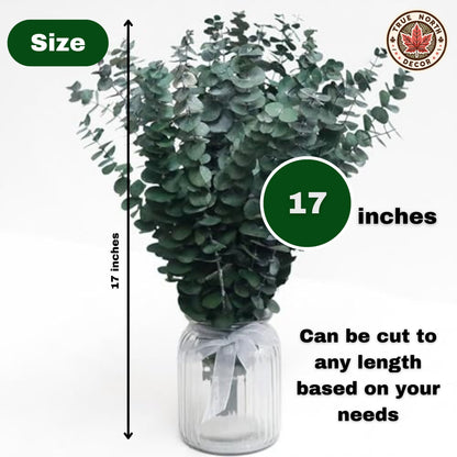 dried eucalyptus eucalyptus eucalyptus branches Christmas christmas decor Decor shower steamers centerpiece shower bundle bombe de douche home decor table decor garlands