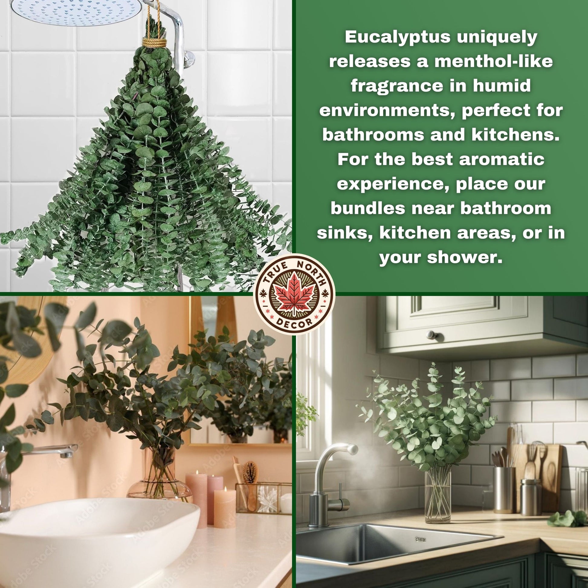 dried eucalyptus eucalyptus eucalyptus branches Christmas christmas decor Decor shower steamers centerpiece shower bundle bombe de douche home decor table decor garlands