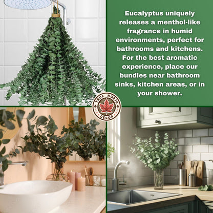 dried eucalyptus eucalyptus eucalyptus branches Christmas christmas decor Decor shower steamers centerpiece shower bundle bombe de douche home decor table decor garlands