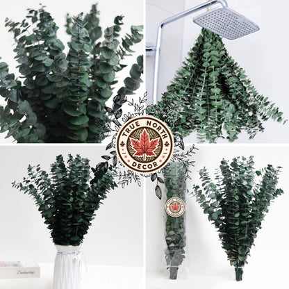 dried eucalyptus eucalyptus eucalyptus branches Christmas christmas decor Decor shower steamers centerpiece shower bundle bombe de douche home decor table decor garlands